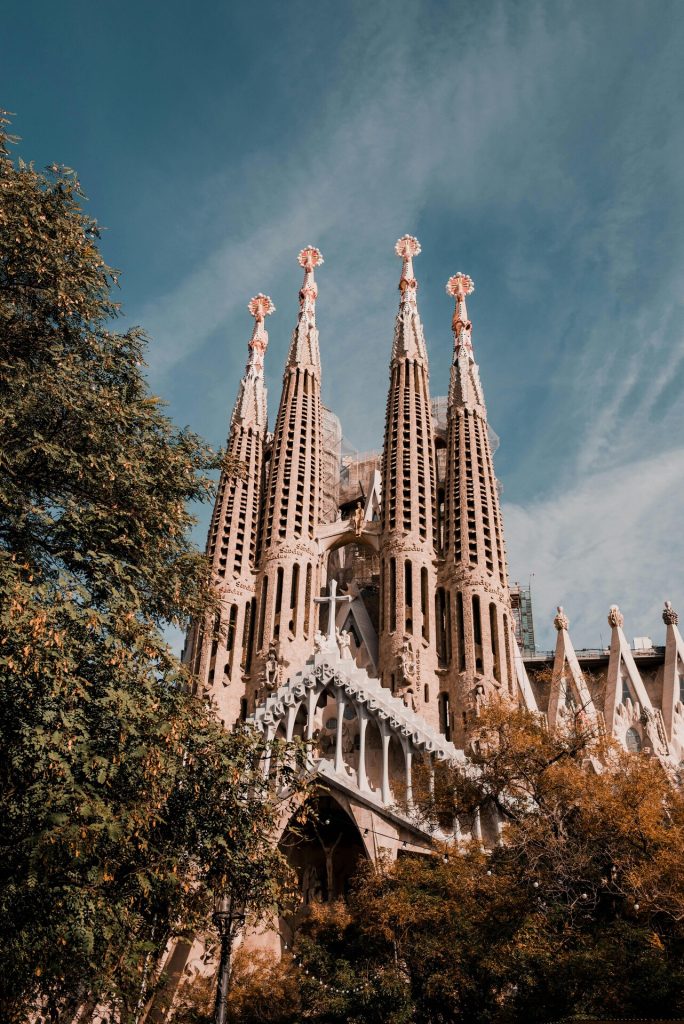 pexels-mario-cuadros-1166886-2567935